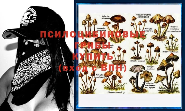бошки Магадан