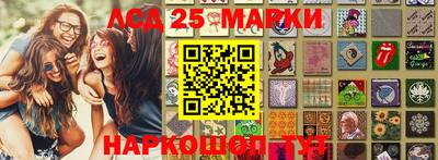 крисы Берёзовский