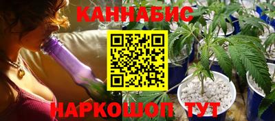 гашик Краснознаменск