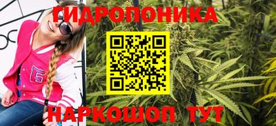 крисы Берёзовский