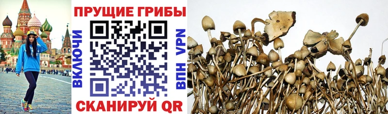 наркошоп  Липецк  Псилоцибиновые грибы MAGIC MUSHROOMS 