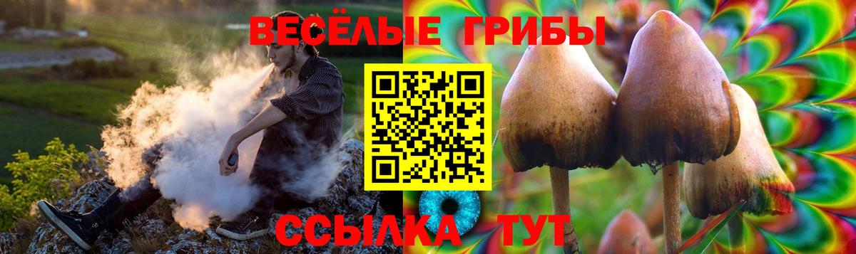 Липецк  Галлюциногенные грибы Psilocybe  купить  цена  Вход с VPN 